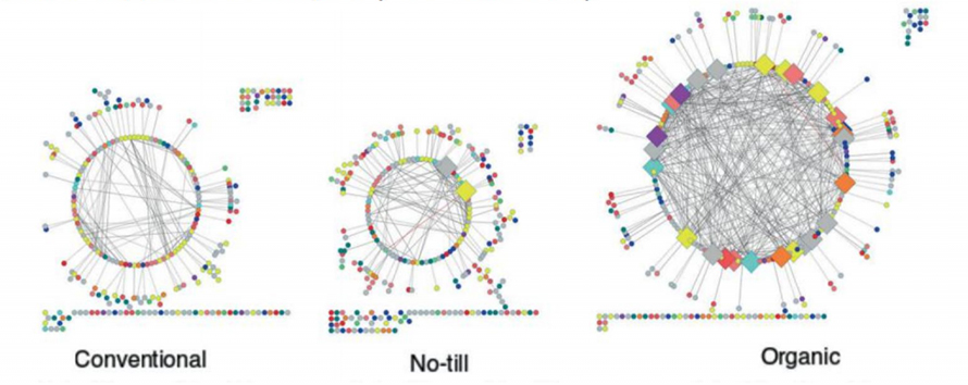 agriculture-intensification-fig-3-1024x407