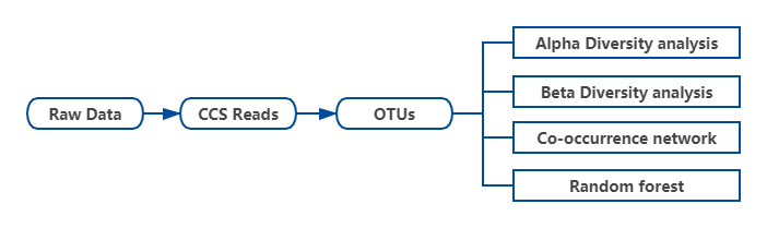 agriculture-intensification