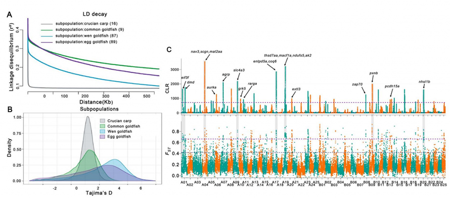 newshighlights-pnas-goldfish-fig3-1024x451