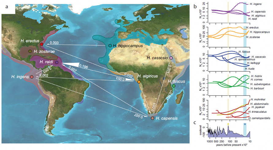 seahouse-fig-3-1024x563