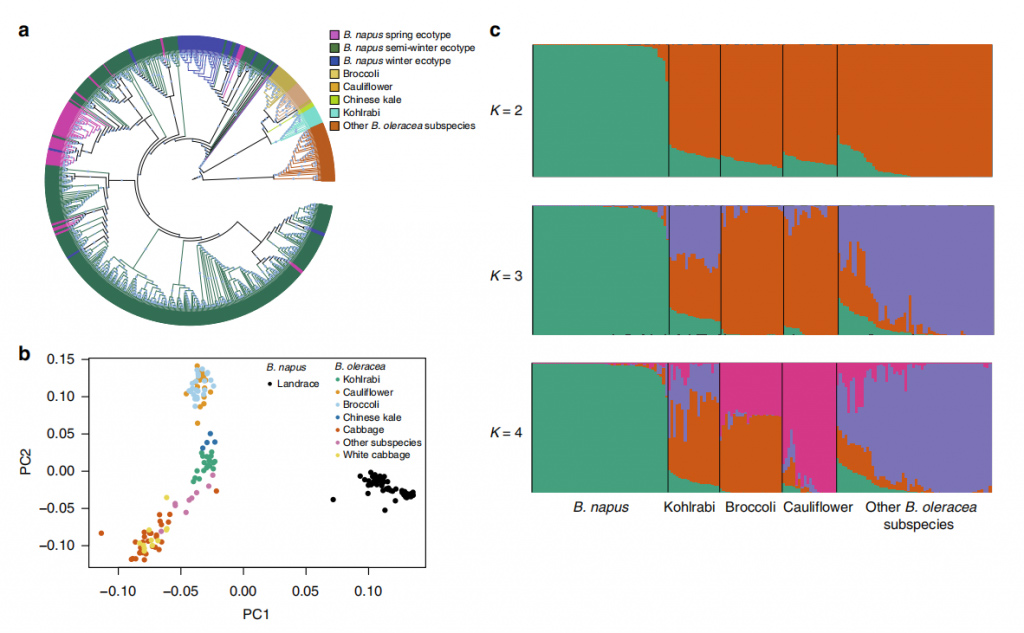 16233927951-1024x633