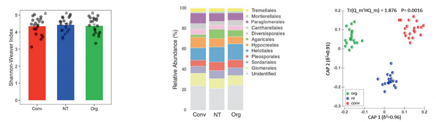 agriculture-intensification-fig-1-1024x286