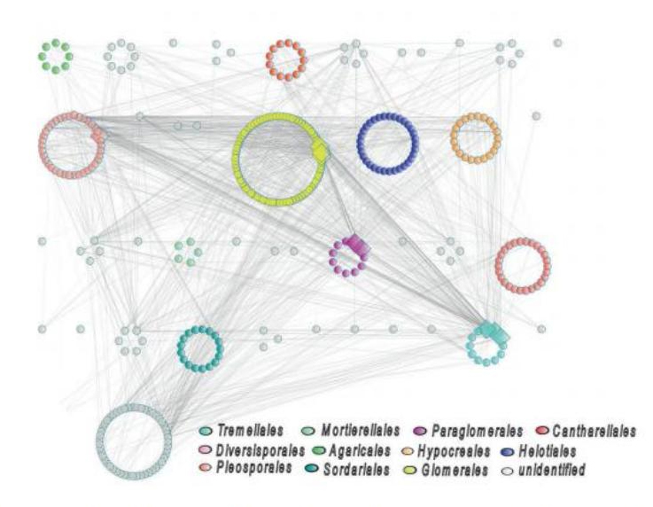 agriculture-intensification-fig-2