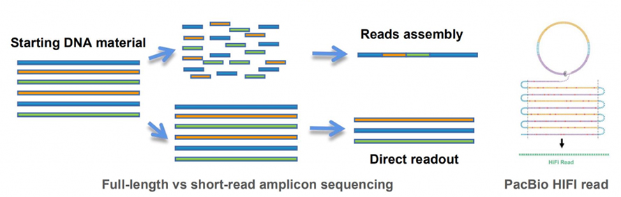 agriculture-intensification-fig-5-1024x326